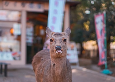 图聚科技